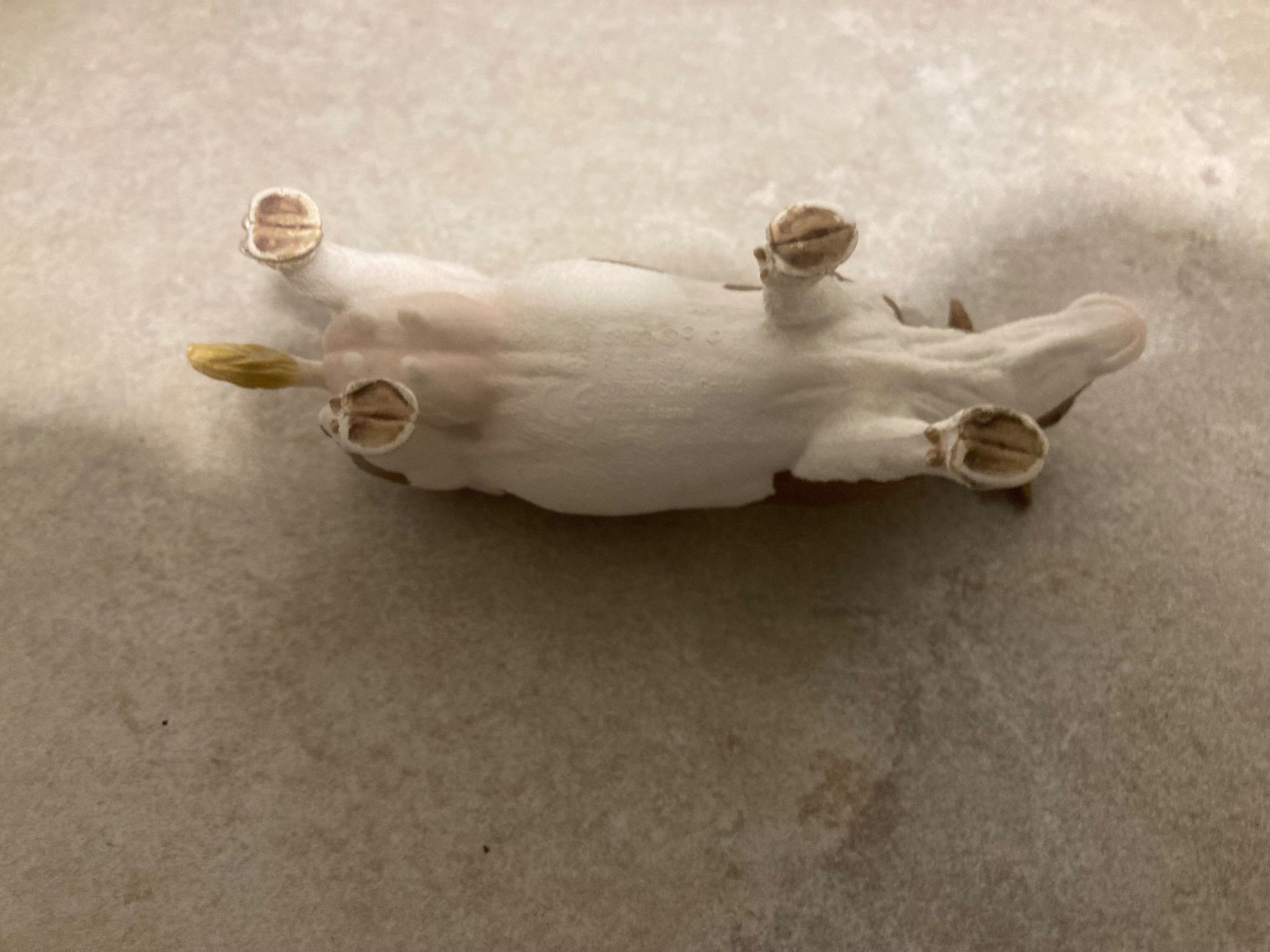 Schleich Figuren: Schleich Kuh, braun/weiss gefleckt – Gebraucht aus Dottikon von Omiros87 3
