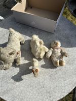 Antike Stofftiere u.a. von Steiff, Bär, 2 Hunde, Hase