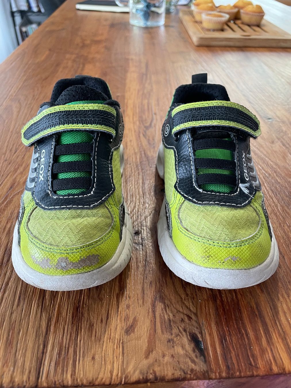 Geox Scarpe per ragazzi: Geox sneakers – Usato da Schlieren venduto da gor_jgx7
