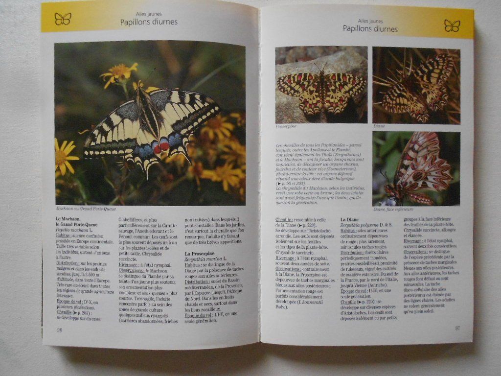 Libri: PAPILLONS ET CHENILLES – Usato da Bex venduto da Giorgiob 2