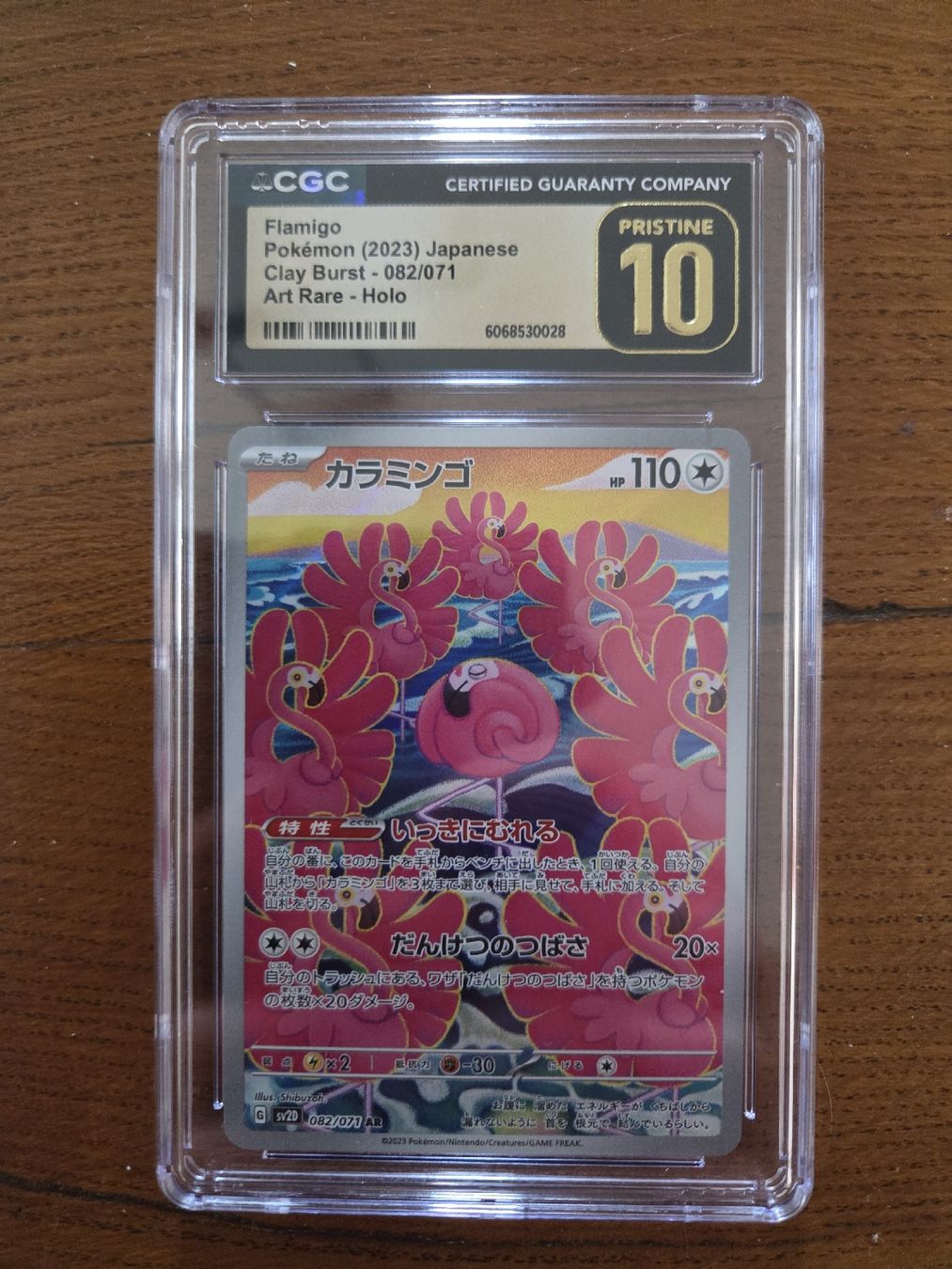 Pokémon Carte collezionabili: Pokémon Flamigo pristine 10 – Nuovo (secondo la descrizione) da Champex-lac venduto da PokeTop