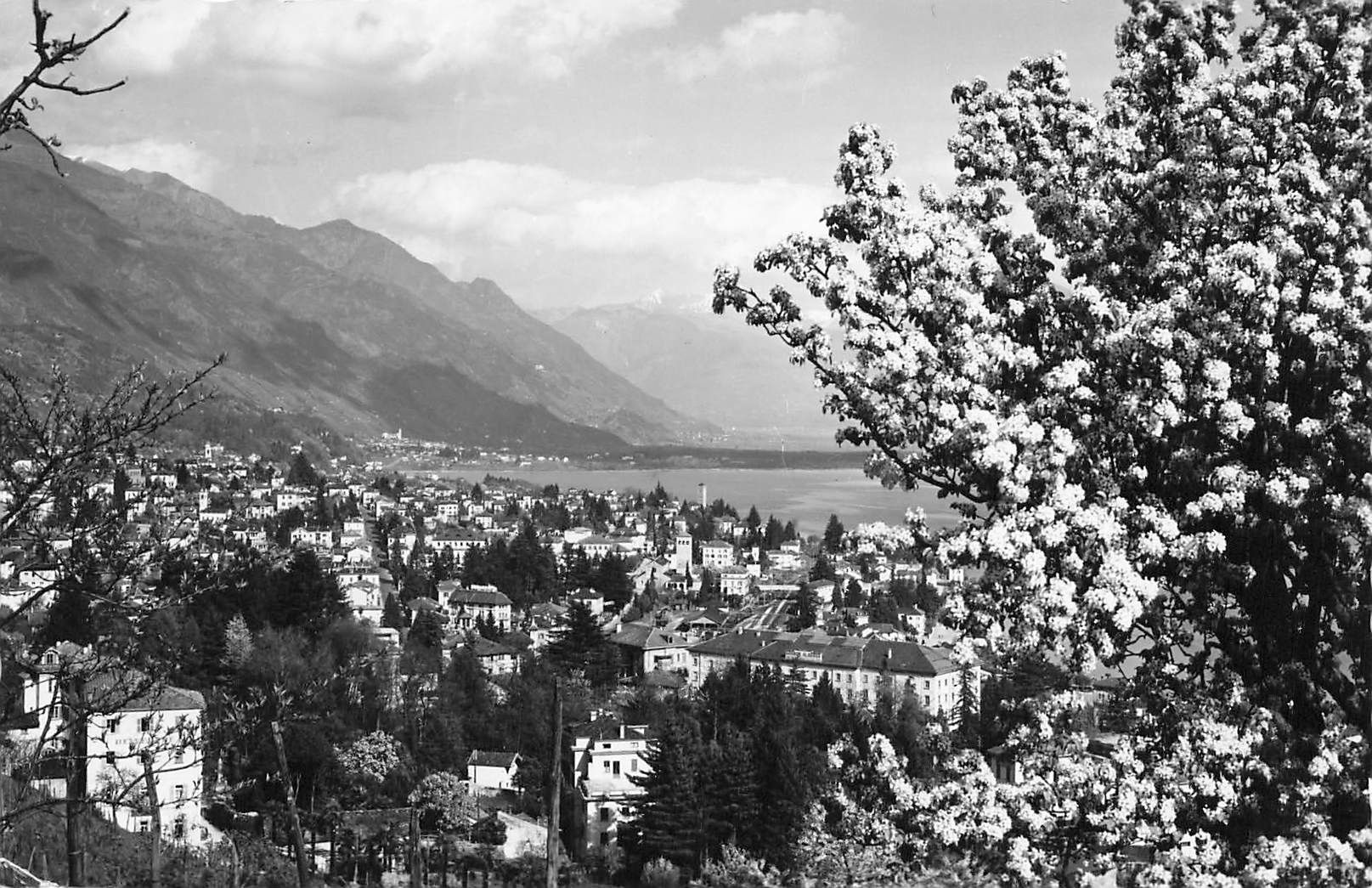 Cartoline postali: Locarno TI panorama città e Lago Maggiore – Usato da Biasca venduto da Blenio71