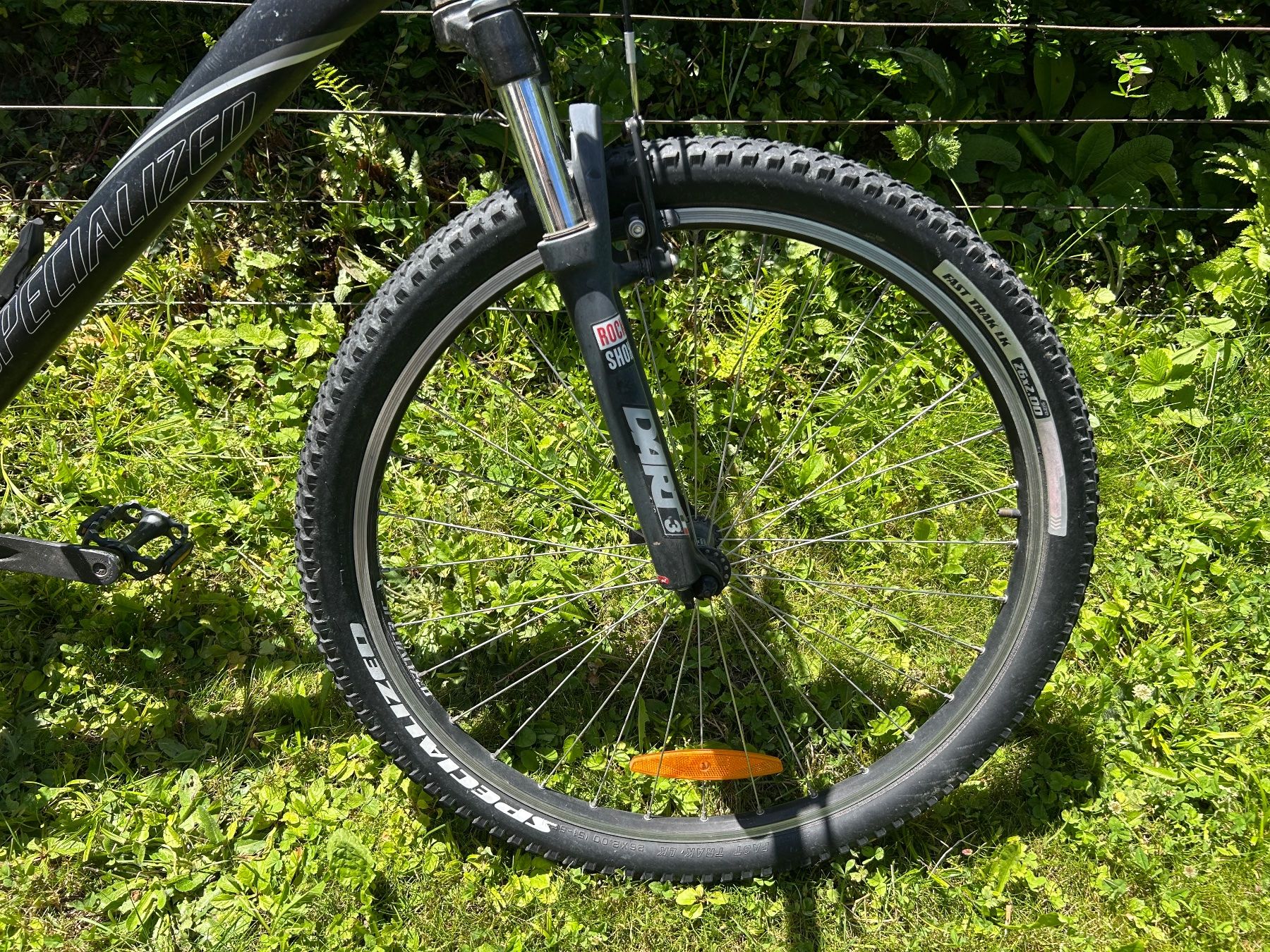 Specialized Biciclette: Specialized Rockhopper mountainbike grosse L – Difettoso da Rueschlikon venduto da scheuchzer 2