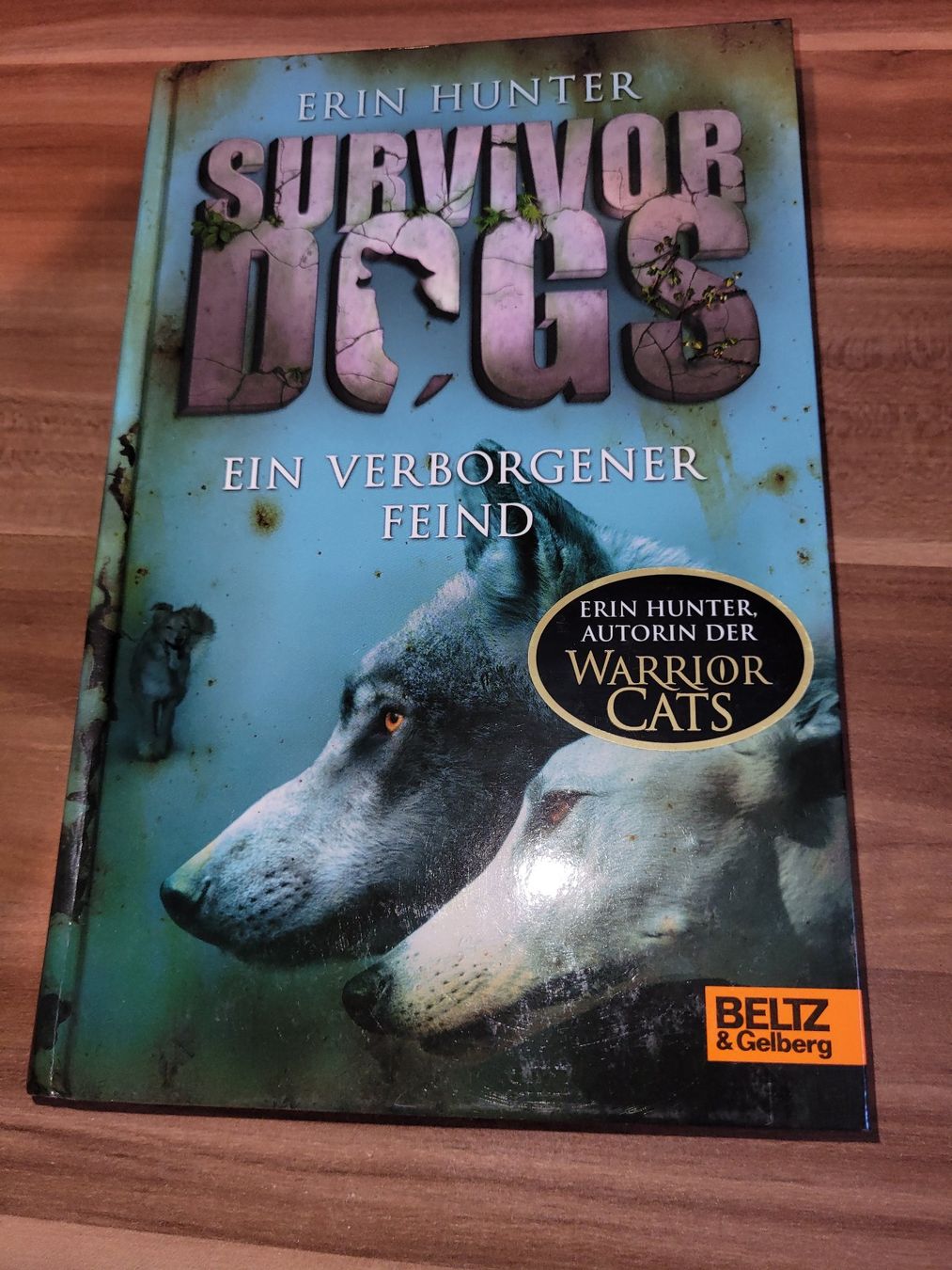 Bücher: Survivor Dogs – Gebraucht aus Beinwil (Freiamt) von Tourigny