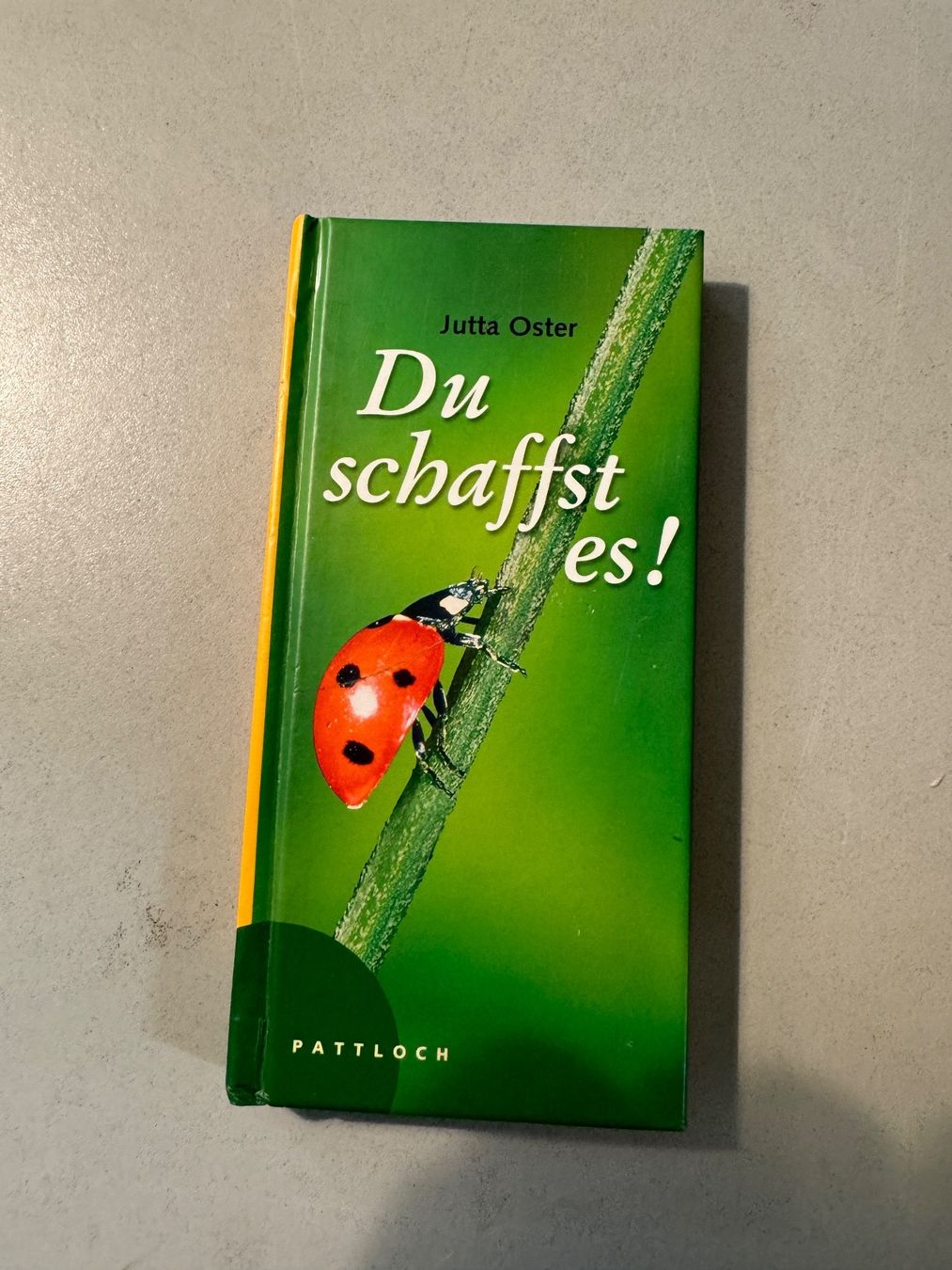 Libri: Du schaffst es! Mutmachbuch Jutta Oster Pattloch Verlag – Usato da Erstfeld venduto da Mario_boe0