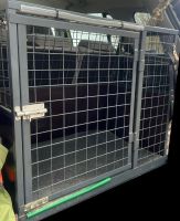 Hundebox massiv