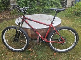 Mountainbike rot 