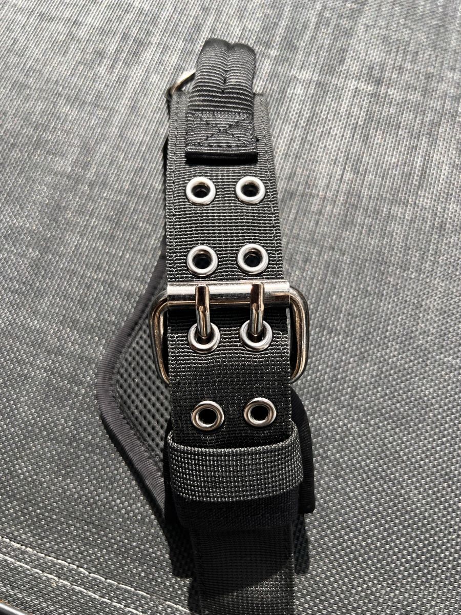 Leine & Halsband: OneTigris Hundehalsband mit Handgriff- Grösse M  – Gebraucht aus Thalheim AG von Kolibri1980 3