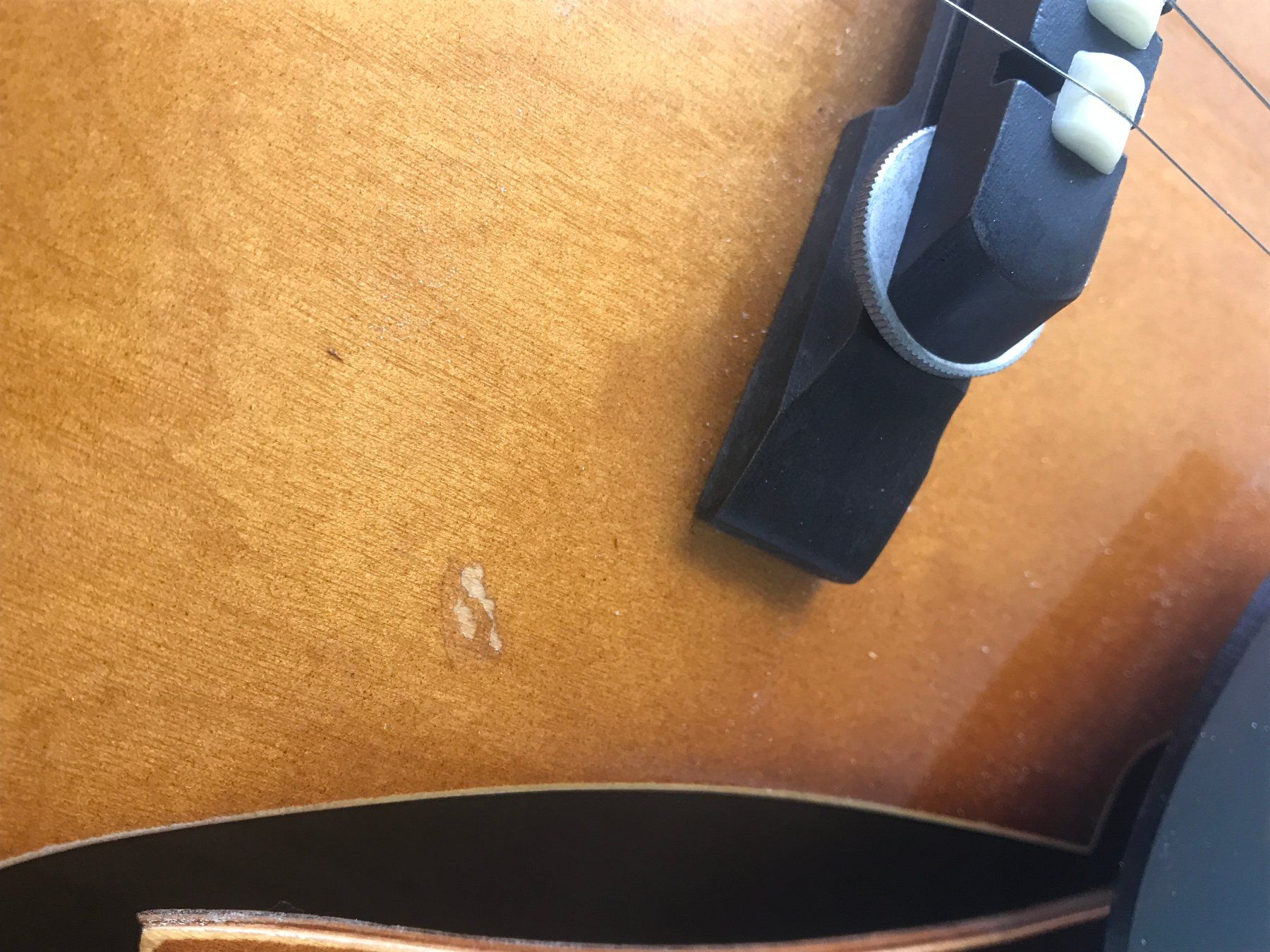 Framus Musikinstrumente: Akustische Gitarre Framus Studio 5/50, ca. 1966 – Gebraucht aus Onex von johnca 2
