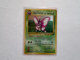 Omot holo Jungle Japanese