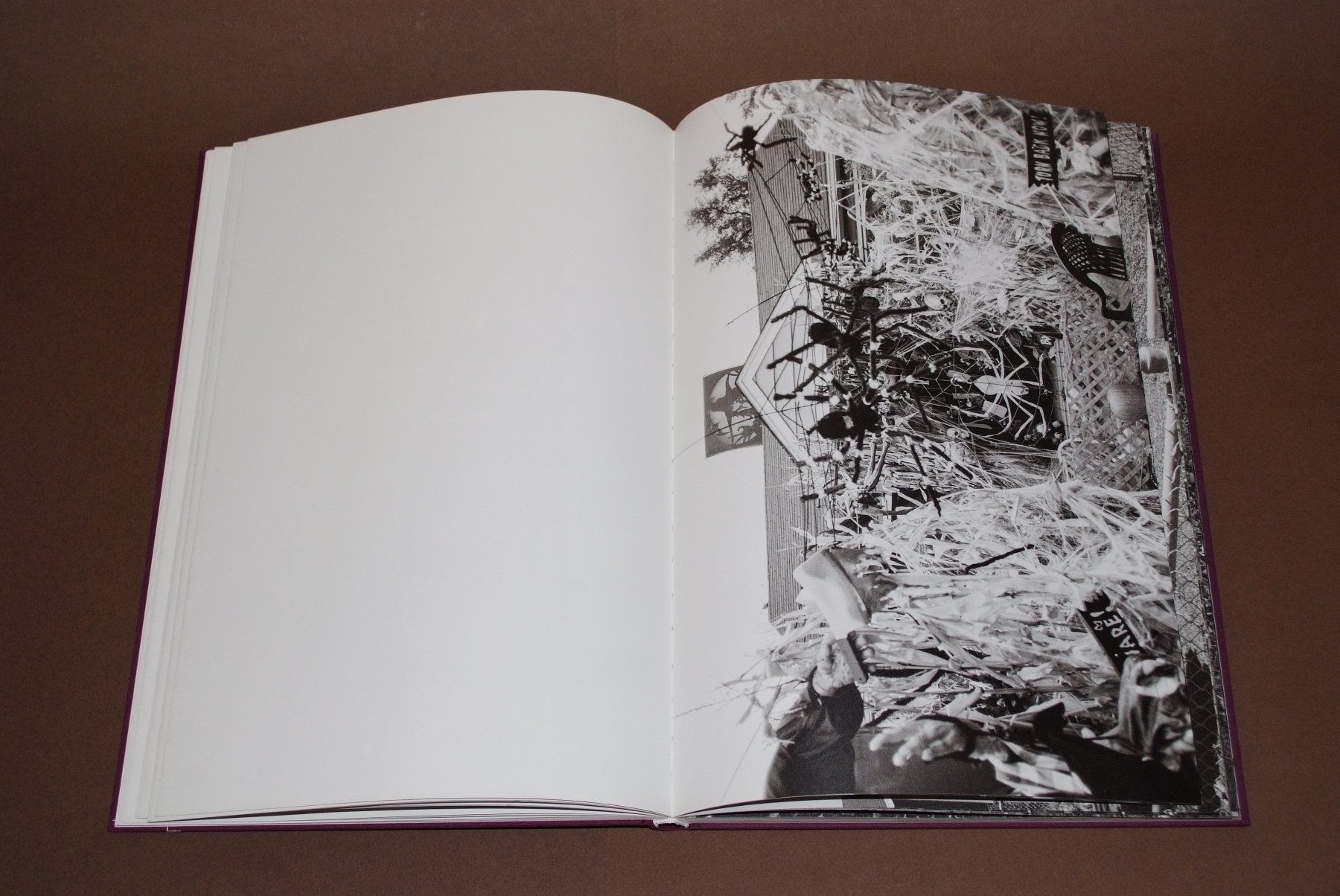 Libri: Cameron Jamie - Front Lawn Funerals #Horror #Halloween – Usato da Aarau venduto da Pearlz 6