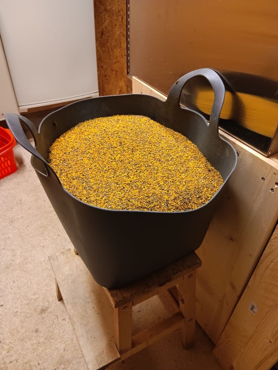 Lebensmittel & Spezialitäten: Bienenpollen – Neu und originalverpackt aus Boll von phi_g2nv 2