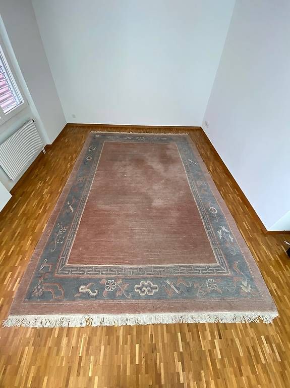 Tappeti: Teppich 250 x 400 cm – Usato da Ittigen venduto da Velostern007