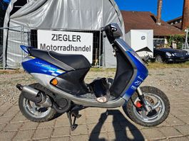 Peugeot Vivacity 50 IL Spikes Roller Lieferung möglich