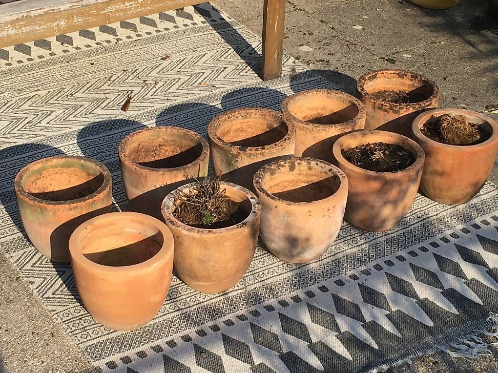 Pots de fleurs: Diverse Terracotta-Töpfe – D'occasion à Zürich par BuenosAires03