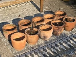 Diverse Terracotta-Töpfe