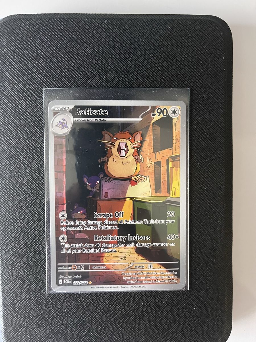 Pokémon Sammelbilder & Trading cards: Raticate 99/88 IR Perfect Order – Neu und originalverpackt aus Massagno von Twittami