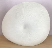 Vase / Designervase