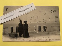 Au bord du Léman, Les Mouettes, AK alt, 6.4.1904 Montreux