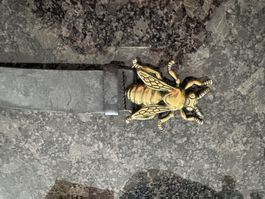 Schöner Damengurt