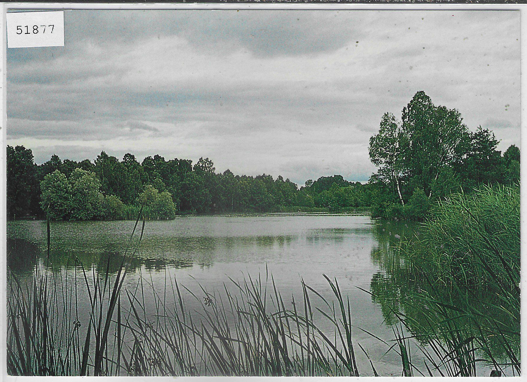 Cartoline postali: Husemer See bei Ossingen – Usato da Ettingen venduto da Kartenplanet