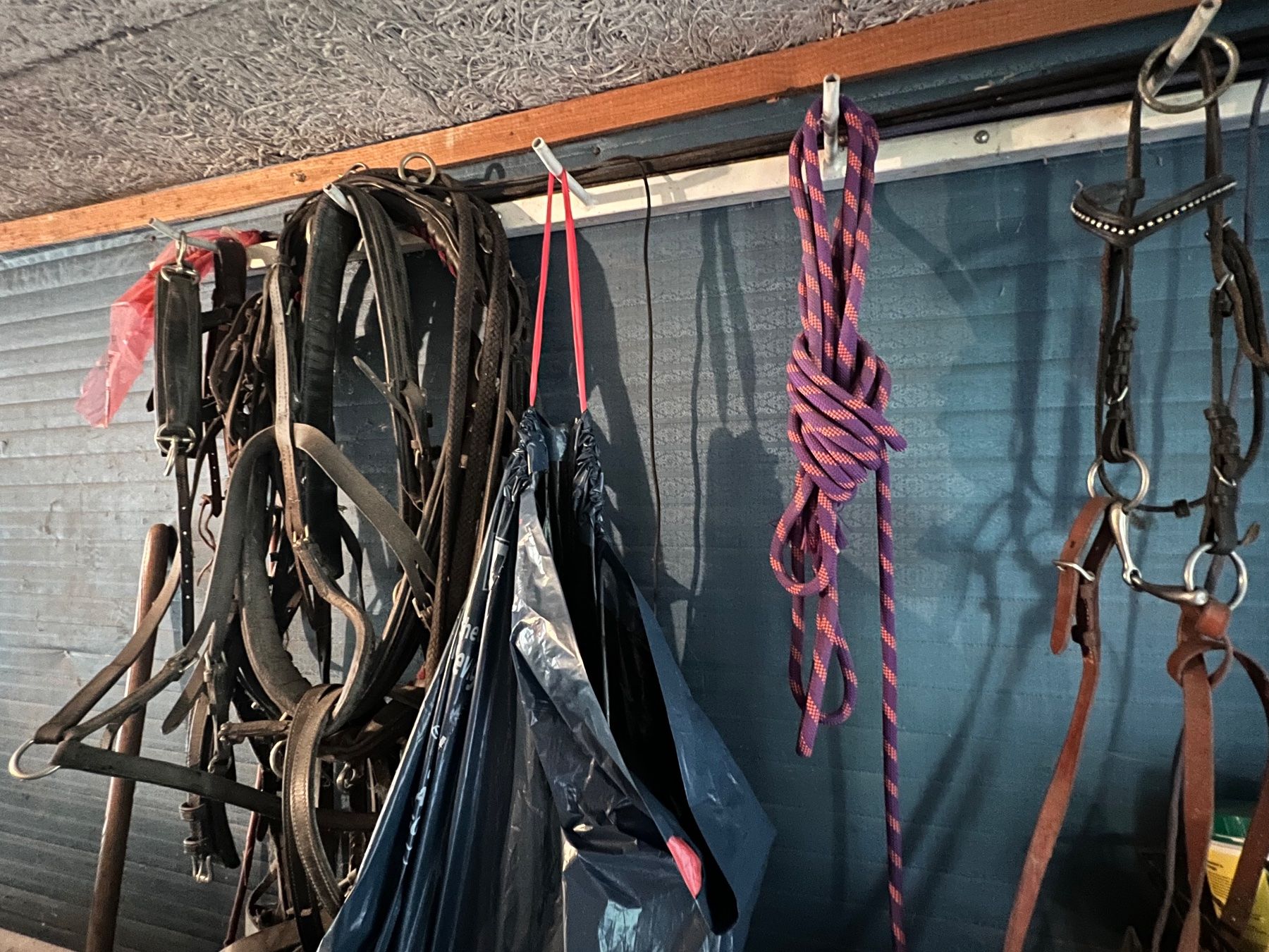 Briglie & Cavezze: Pferdesaum und Zubehör – Usato da zürich venduto da camelus