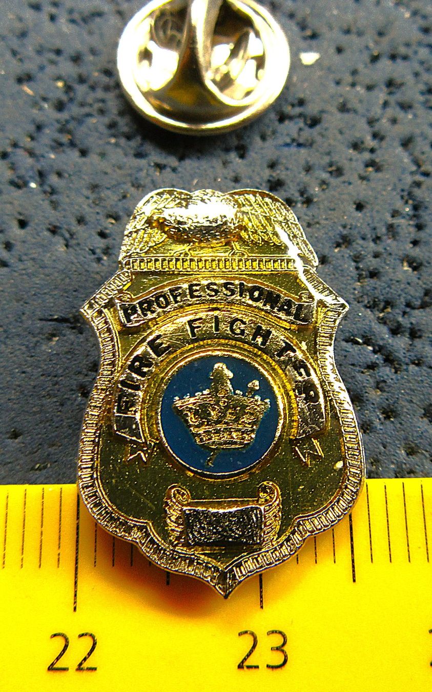 Placchette & Badge: PROFESSIONAL FIRE FIGHTER PIN GLASIERT – Usato da Ettingen venduto da Hausi4711