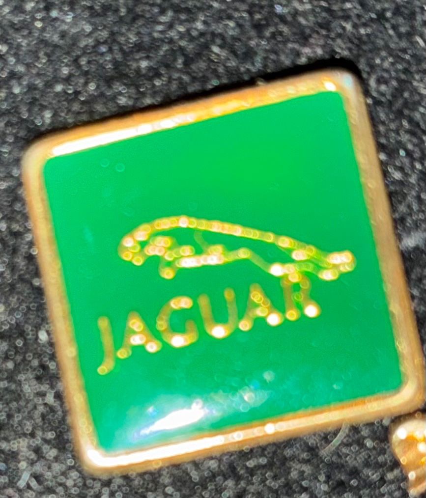 Spille & Fermagli: Pin Jaguar – Usato da Paudex venduto da micinque