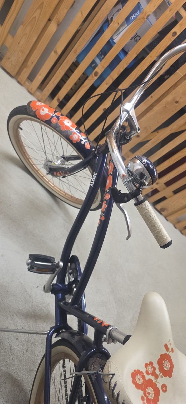 Vélos: Electra Beach Cruiser – D'occasion à Dallenwil par sur_7hrj 2