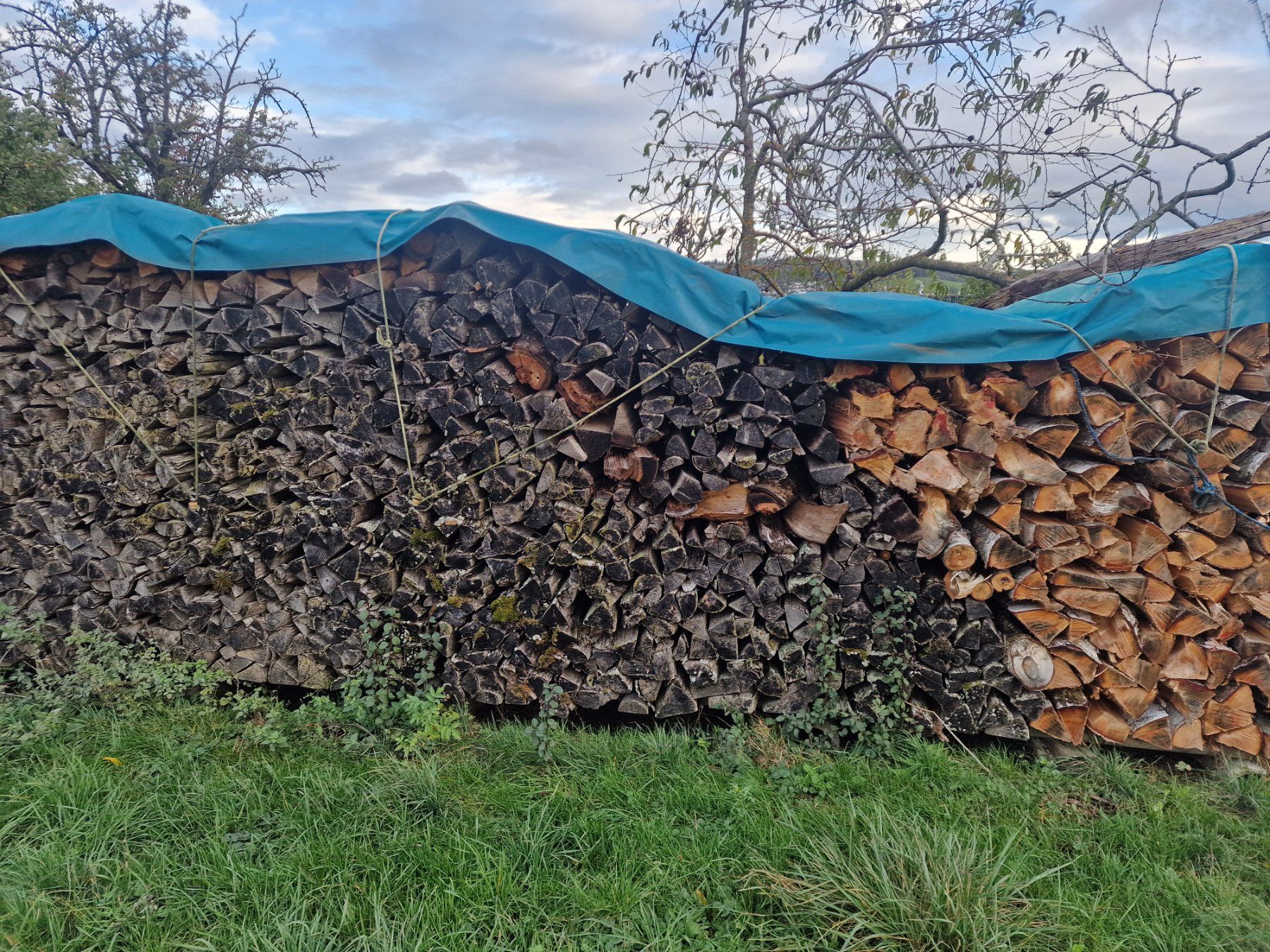 Holzartikel: Holz – Neu und originalverpackt aus Urdorf von gha_2ql7 1