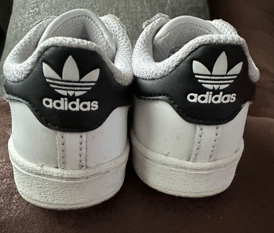 Adidas Scarpe da uomo: Adidas Superstar  Sneaker Gr. 24 – Usato da Herzogenbuchsee venduto da zukerka 1