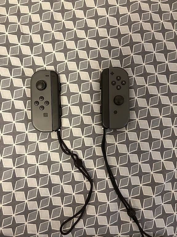 Nintendo Console: Nintendo Switch – Usato da Locarno venduto da pet_wzt8 4
