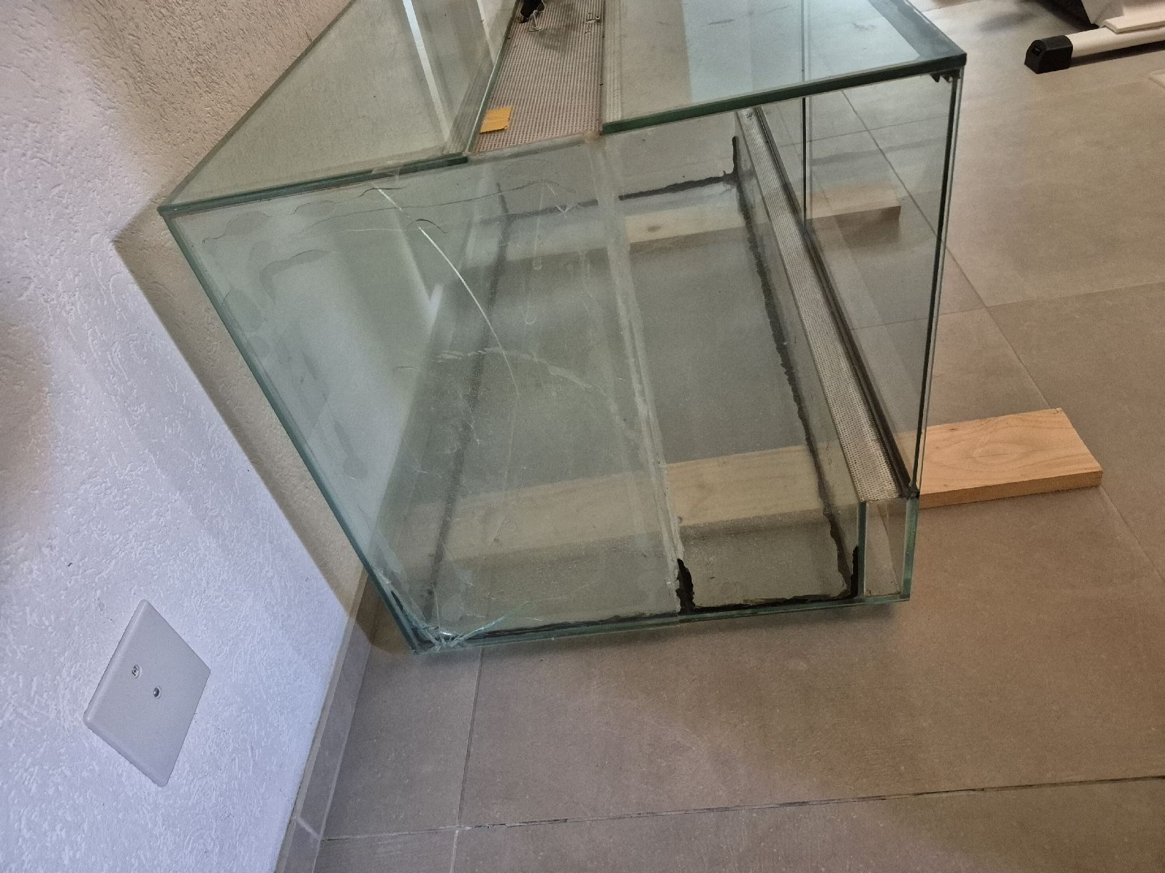 Terrariums: Glas Terrarium 120x60x60 – D'occasion à Herzogenbuchsee par dade0_4 1