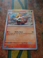 POKEMON  Lokroko   H  SSP DE   030/191   KP110   2024
