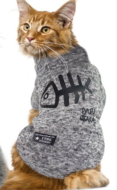 Bekleidung: HUNDEKLEID/KATZENKLEID – Neu (gemäss Beschreibung) aus Stansstad von Teilnehmer1