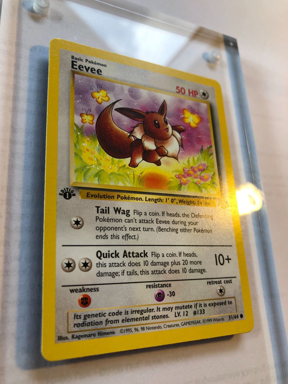 Sammelbilder & Trading cards: Eevee 1st Jungle - MINT - ab 1.- – Gebraucht aus Giubiasco von dan_pr8b 1