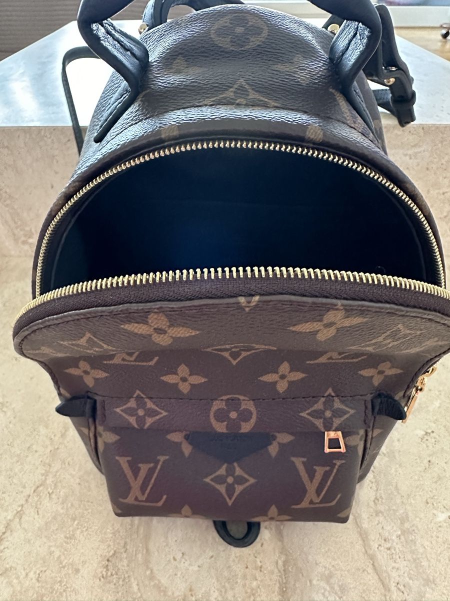 Louis Vuitton Taschen für Damen: Louis Vuitton Tasche Palm Springs Mini – Neu (gemäss Beschreibung) aus Pratteln von S.alp1 5