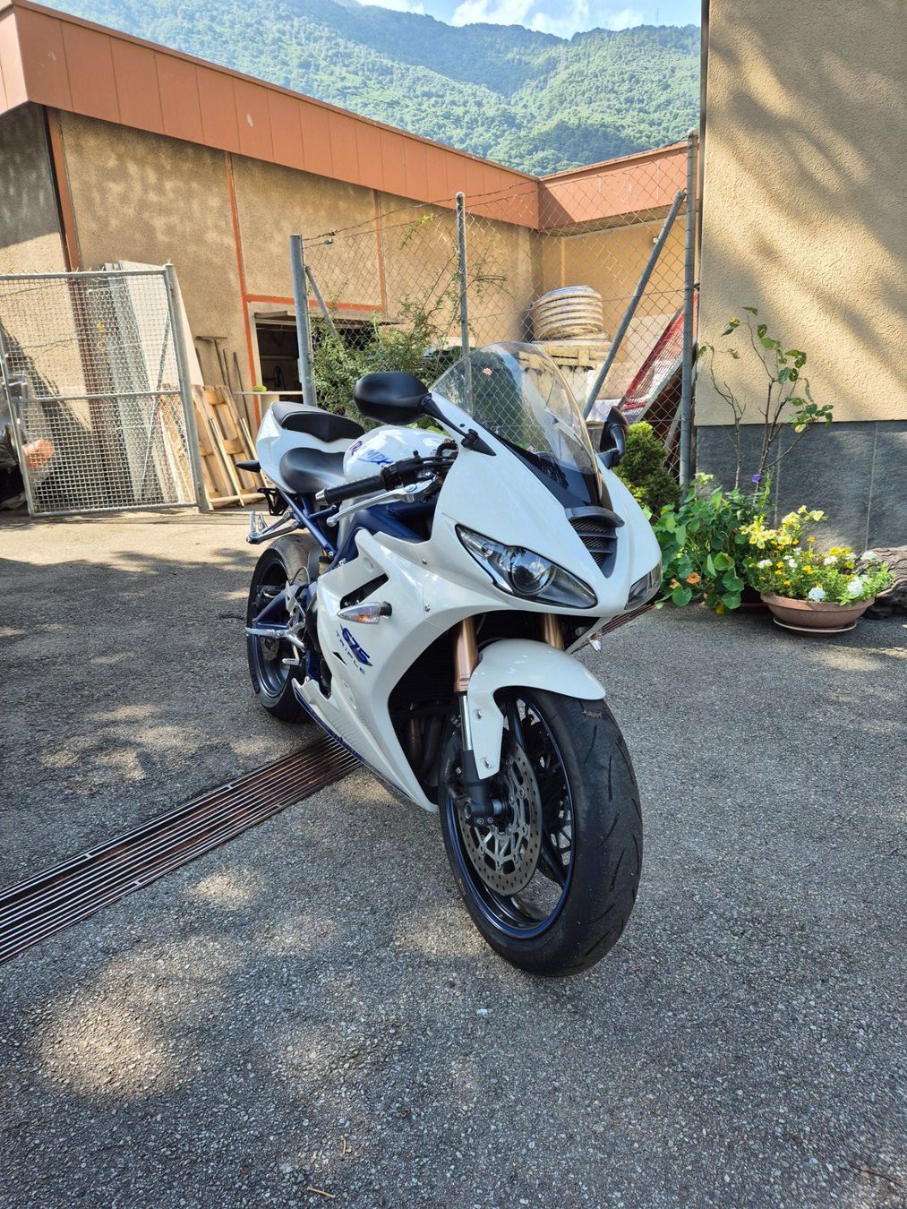 Triumph Route: Triumph Daytona 675 SE – D'occasion à Lamone par Dany_19