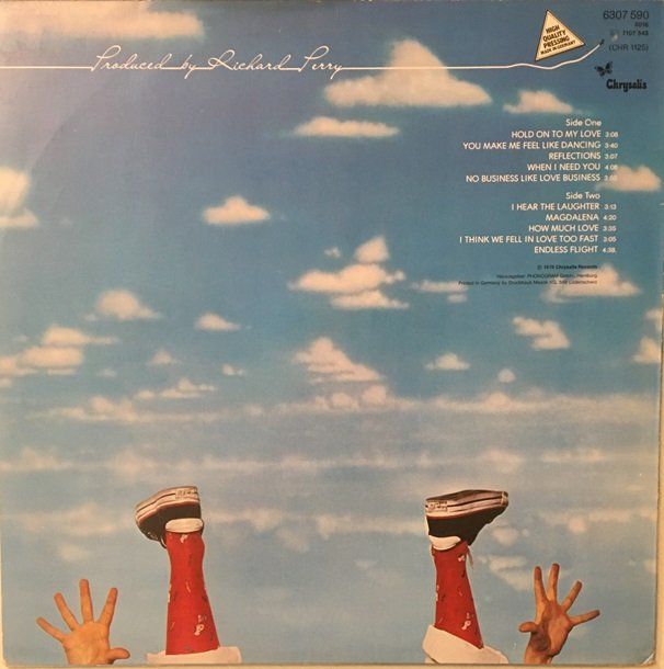 Dischi in vinile: Leo Sayer – Endless Flight (LP) – Usato da Grüningen venduto da azulgrisvinyl 1
