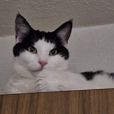 Profile image of elb_9qvr