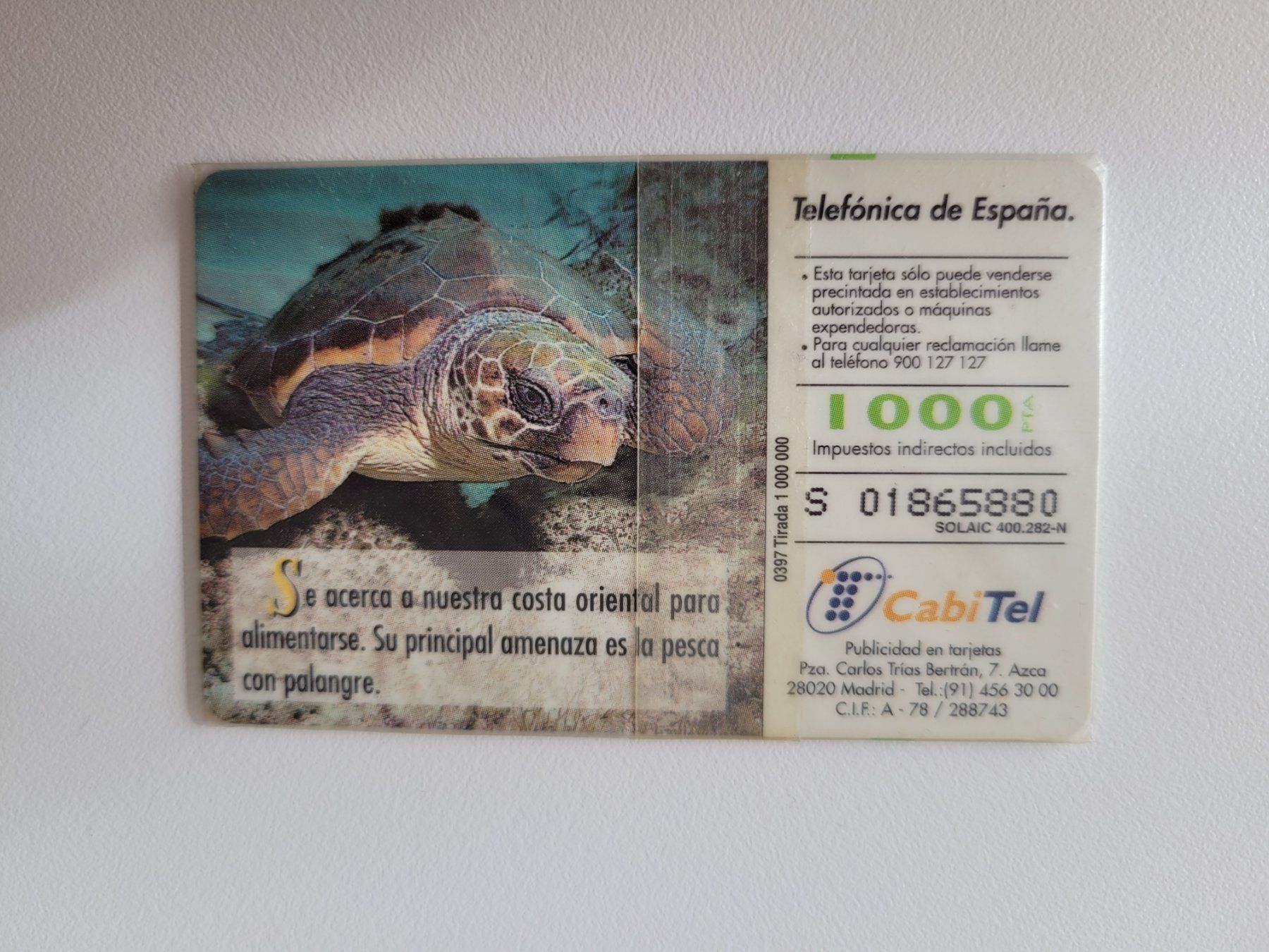Schede telefoniche: Telefonkarte Spanien "Schildkröte" neu – Nuovo e nell'imballaggio originale da Inwil venduto da Flower2325 1