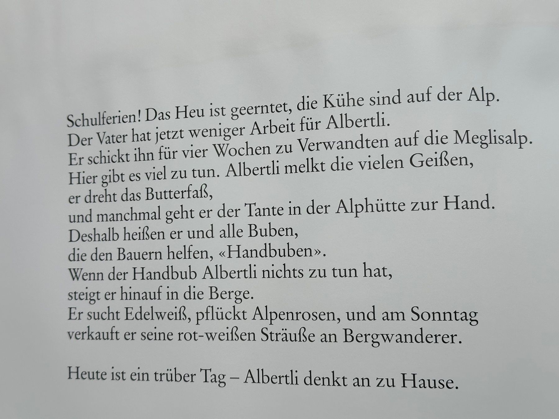 Libri: Albertli von Albert Manser – Usato da Obstalden venduto da Porco13 6
