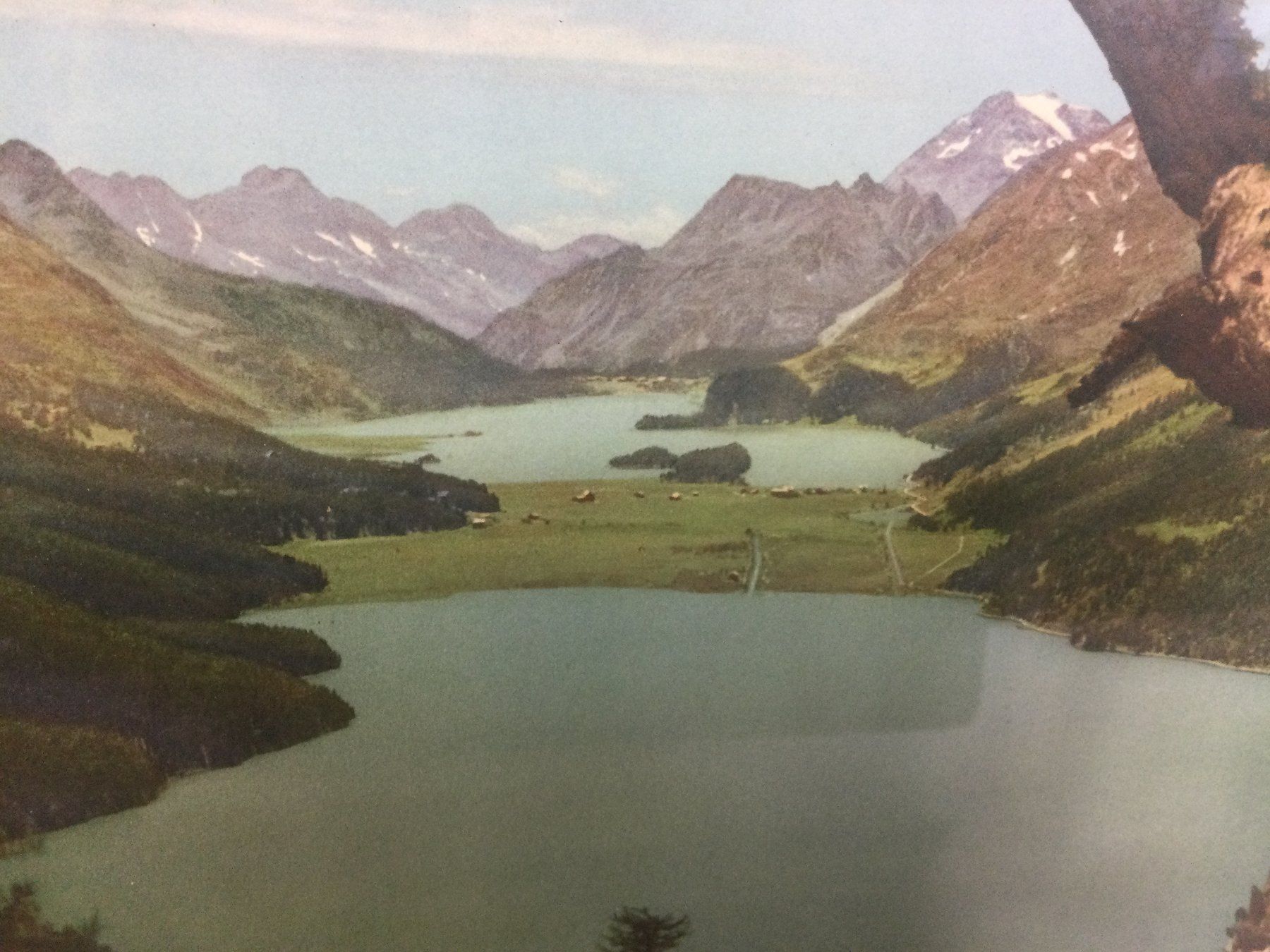 Foto & Immagini: Albert Steiner Ansicht Silsersee mit typischer Bergkulisse – Usato da Wangen SZ venduto da kuriosum12 2