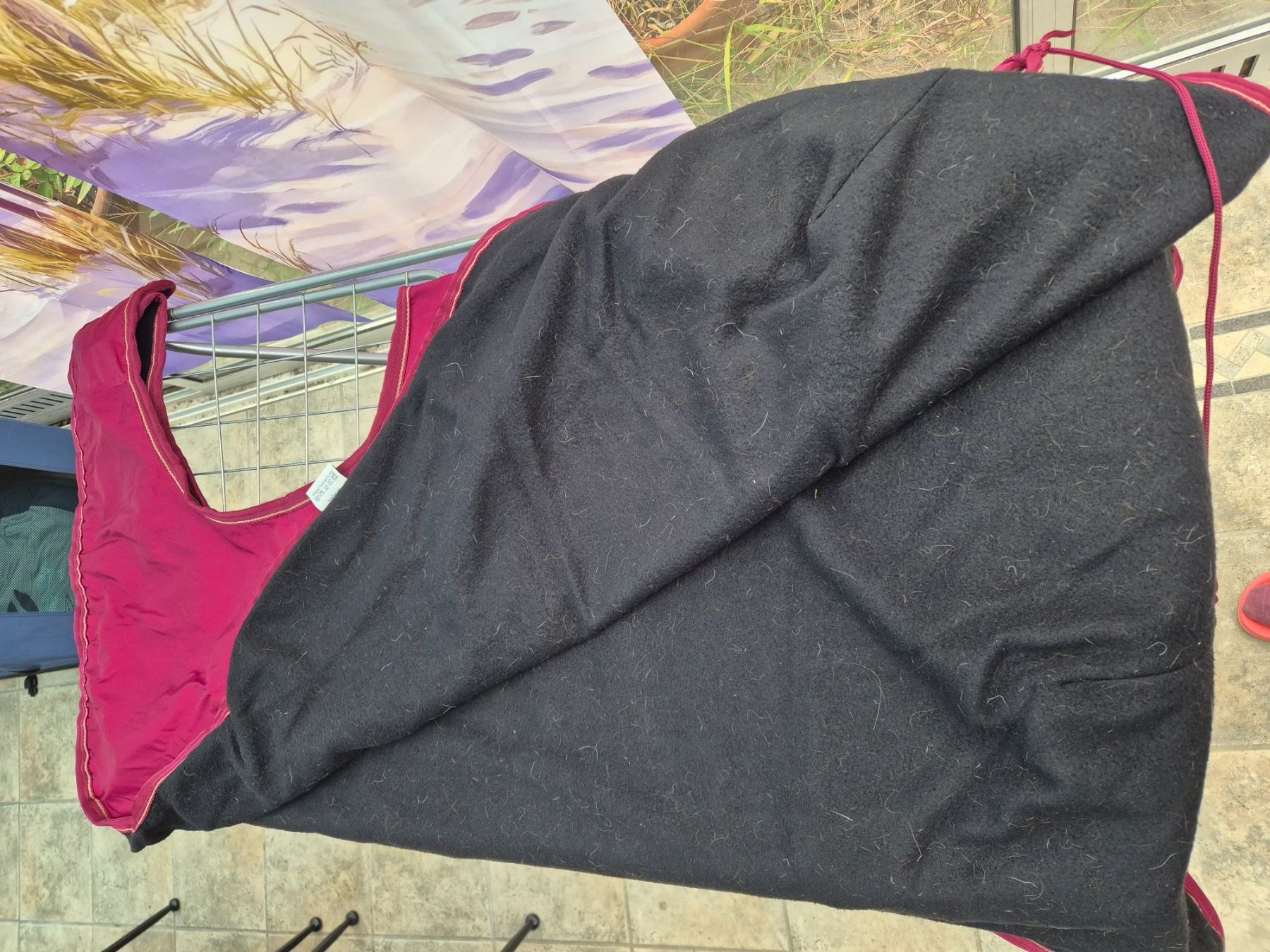 Coperte & Accessori: Ausreitdecke Gr. 125cm – Usato da Dänikon ZH venduto da shantiwell 1