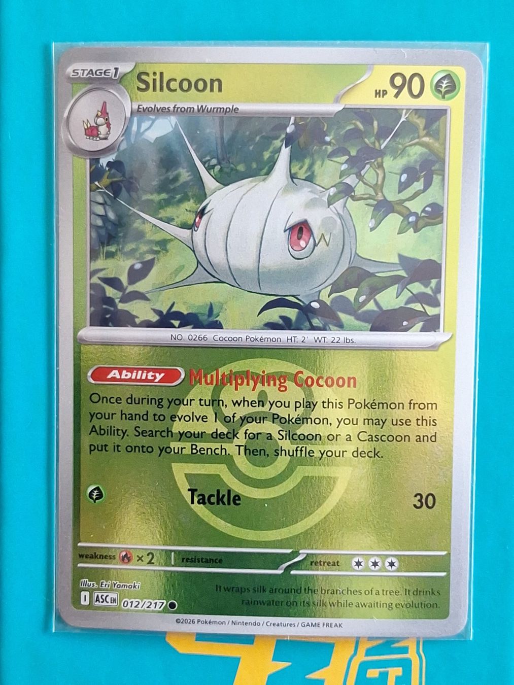 Pokémon Carte collezionabili: Silcoon Reverse Holo Ball  Pokemon Ascended Heroes – Usato da Altstätten SG venduto da GGsGameshop