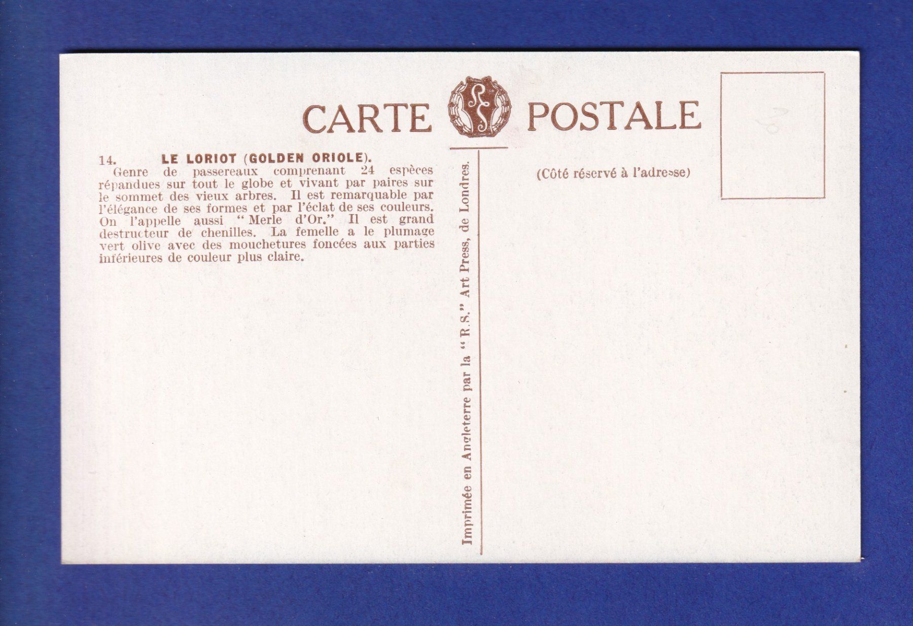 Ansichtskarten: OISEAU - Le Loriot – Gebraucht aus Pully von nicecards-shop 1