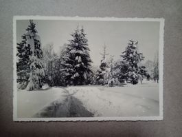 Photokarte Cham Zug Park von Oberst Vogel Winter 1930