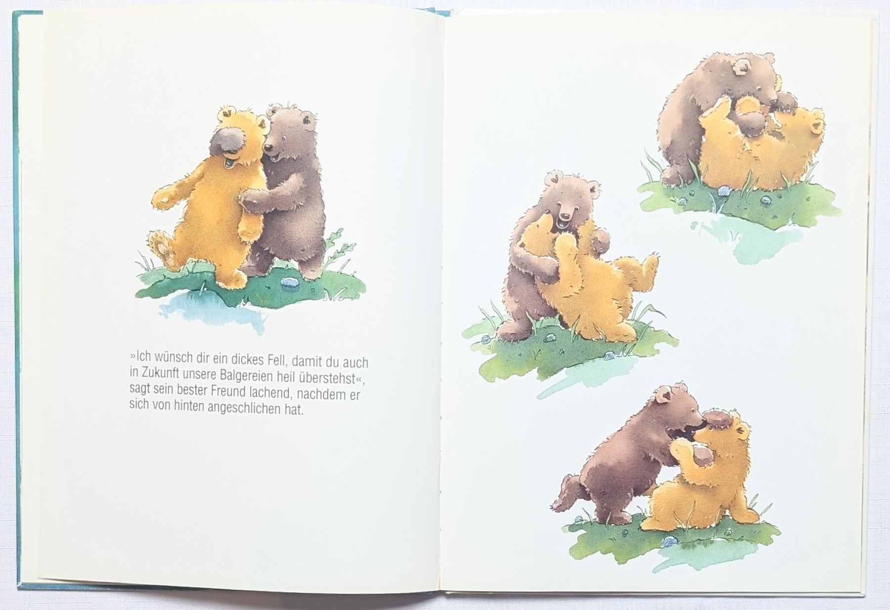 Libri: Kleiner Bär ich wünsch dir was -  Marcus Pfister – Nuovo (secondo la descrizione) da Wängi venduto da ABIZONE-86 2
