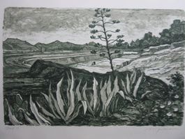 DIGGELMANN ALEX WALTER LITHOGRAPHIE