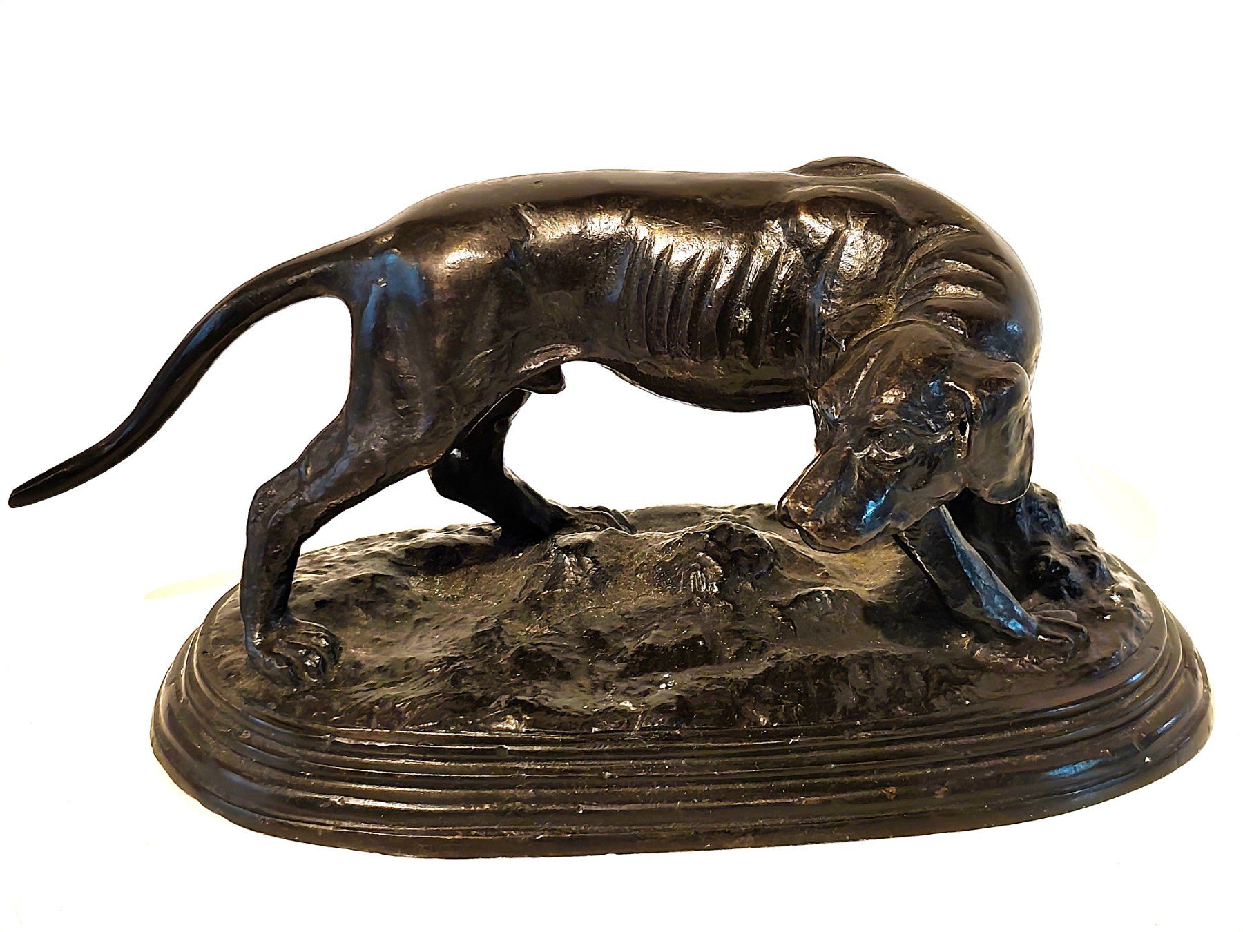 Skulpturen & Statuen: Alter Bronze Jagdhund – Gebraucht aus Zürich von Top-Deal-Schweiz 2